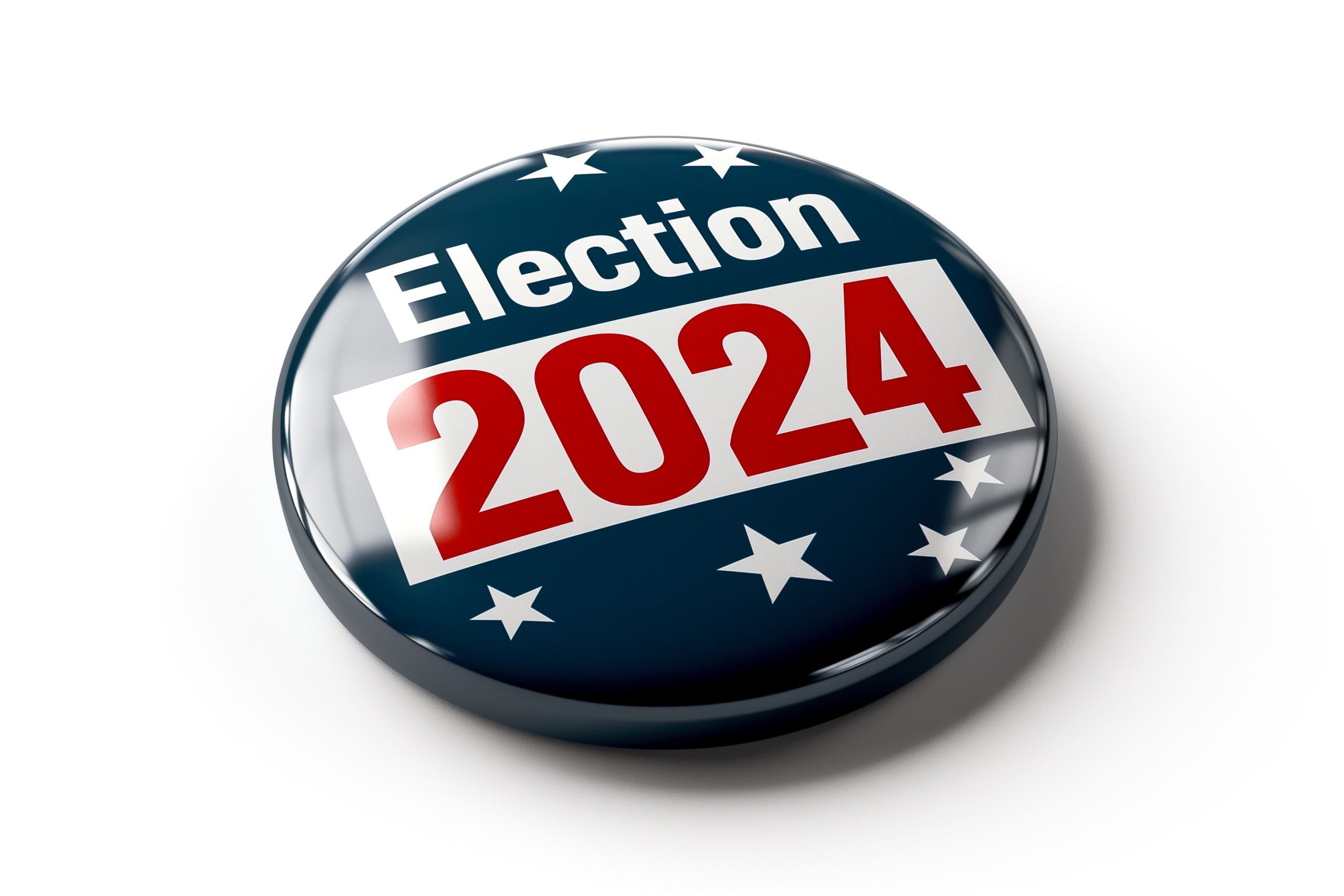 2024 US Election Vote Button